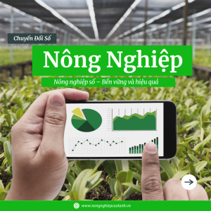 Nông Nghiệp Số: Ứng Dụng Công Nghệ Để Canh Tác Dễ Dàng, Thu Nhập Cao Hơn