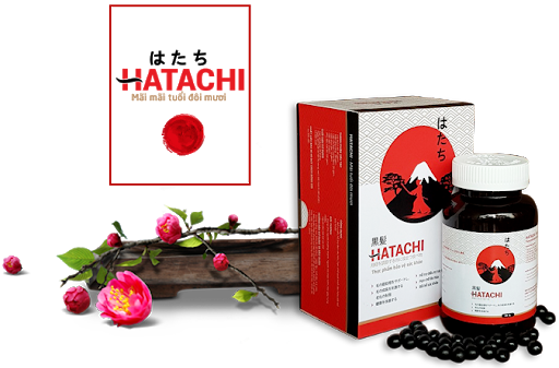 Hatachi hỗ trợ trị bạc tóc sớm, rụng tóc (Sản phẩm của Nhật)