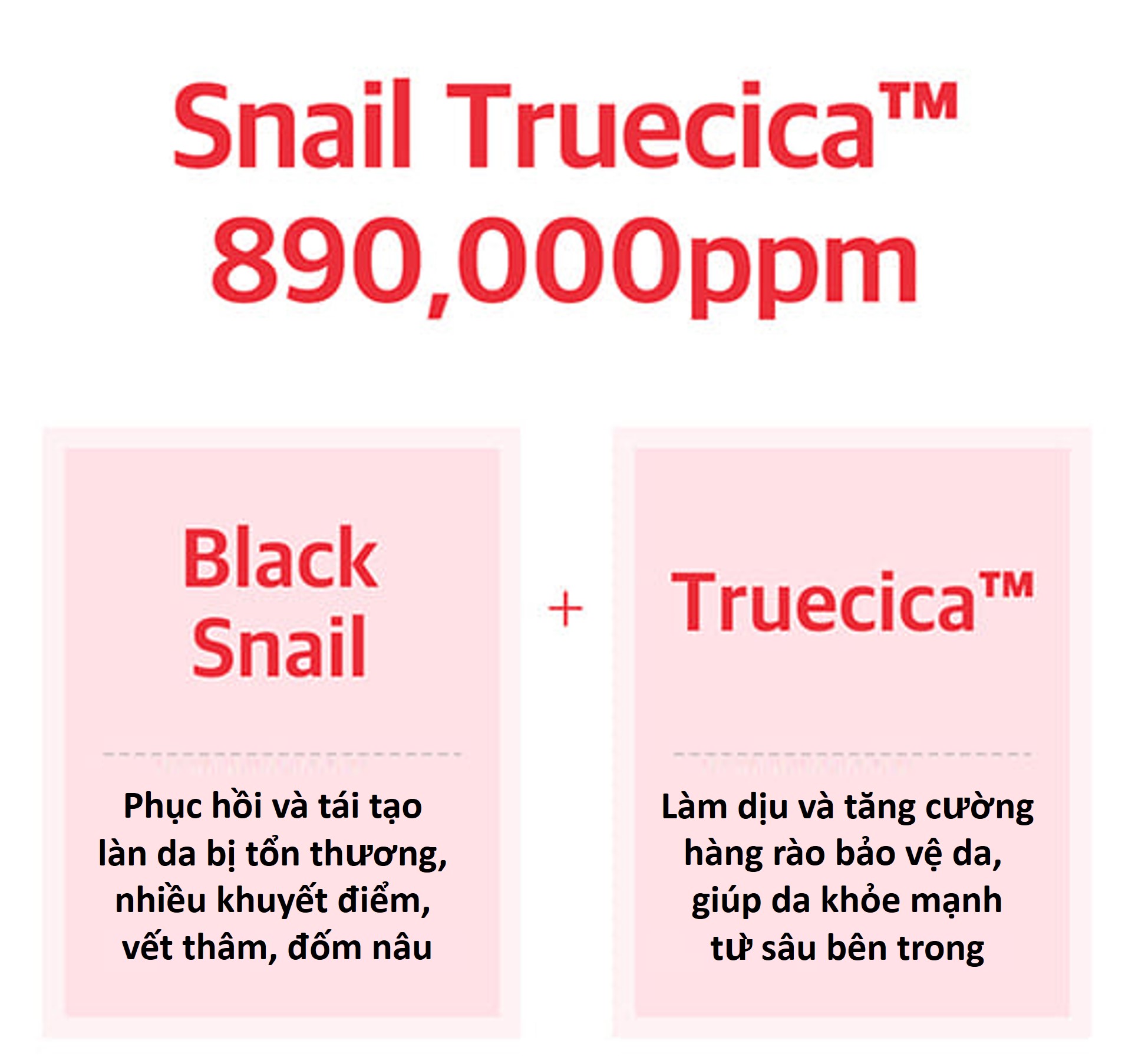 Snail Truecica