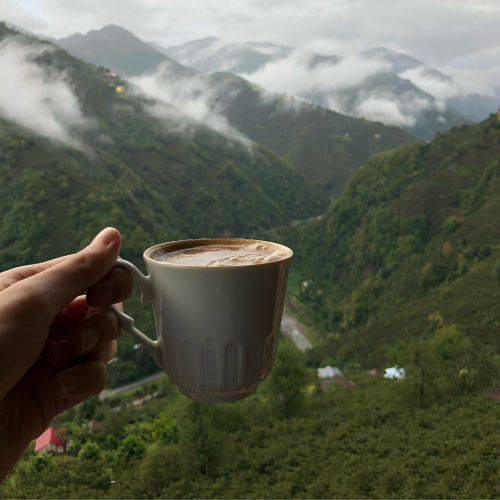 Khơi Dậy Hiệu Suất Mỗi Ngày Với Một Chút Caffeine