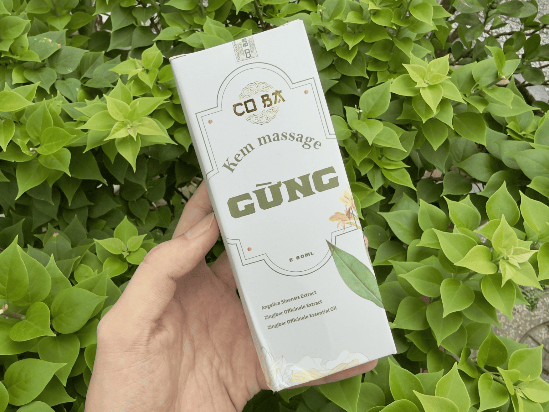 Cách sử dụng