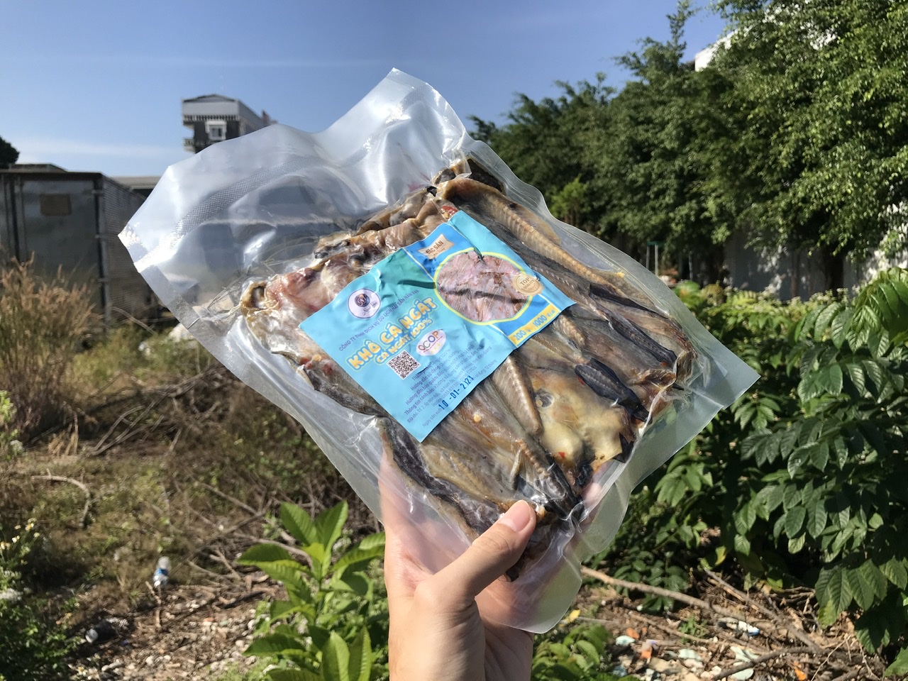 Giới thiệu sản phẩm