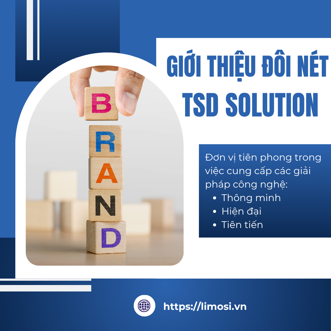 Giới Thiệu Đôi Nét Về TSD Solution