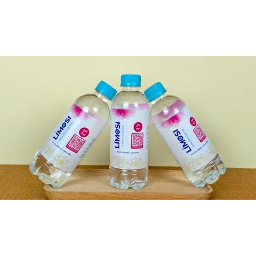 Hành Trình Phát Triển Của Limosi: Kiến Tạo Giá Trị