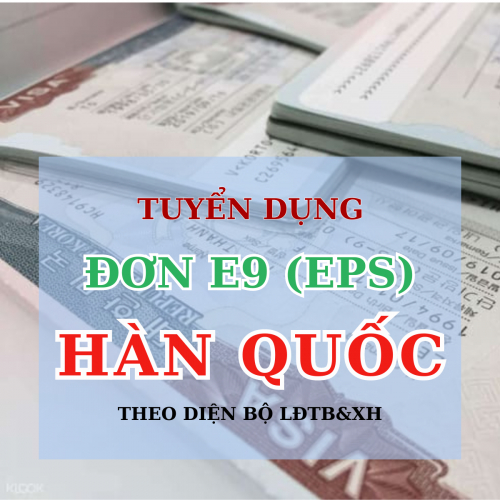 Dn5Sao Tuyển Dụng Đơn E9 Hàn Quốc