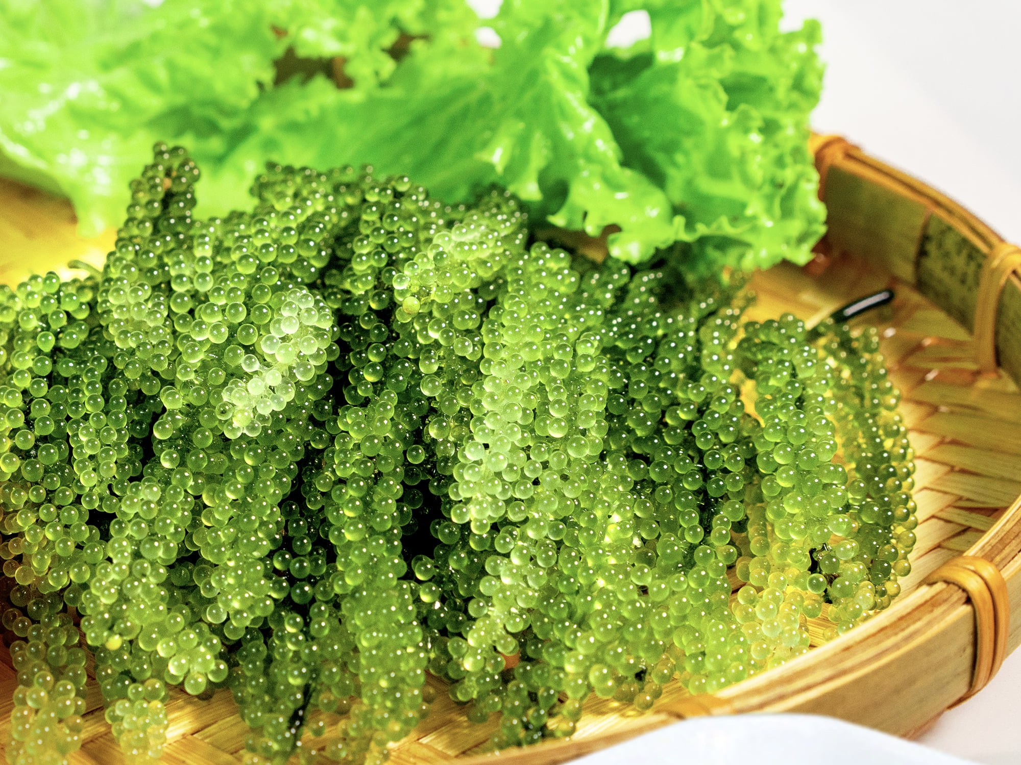 Lợi ích sức khỏe