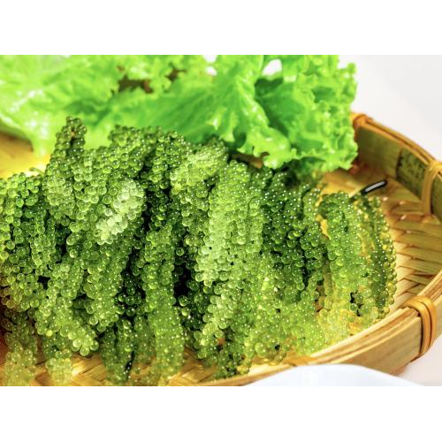 Lợi ích sức khỏe