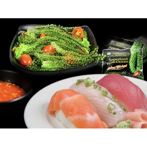 Giới thiệu sản phẩm