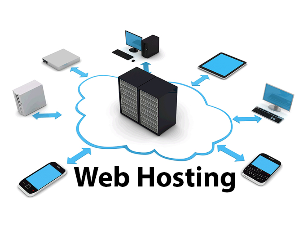 3. Hosting (Web Hosting)