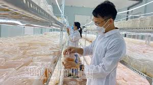 3. Đông trùng hạ thảo trong các lĩnh vực công nghiệp – công nghệ