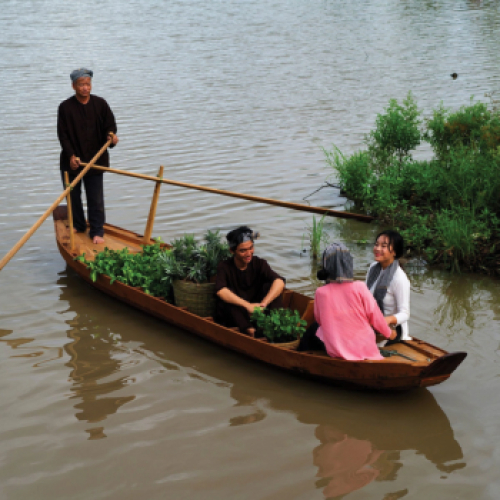 Hò Nam Bộ – Hơi Thở Đồng Quê Và Tinh Thần Yêu Đời Của Người Nam Bộ Xưa