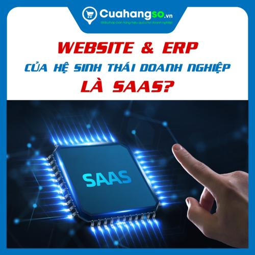 Tại Sao Lại Gọi Hệ Thống Website Và Phần Mềm ERP Của Hệ Sinh Thái Doanh Là SaaS (Phần Mềm Dạng Dịch Vụ)?