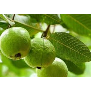 Cách Làm Nước Mắm Me Ngon Cực Dễ