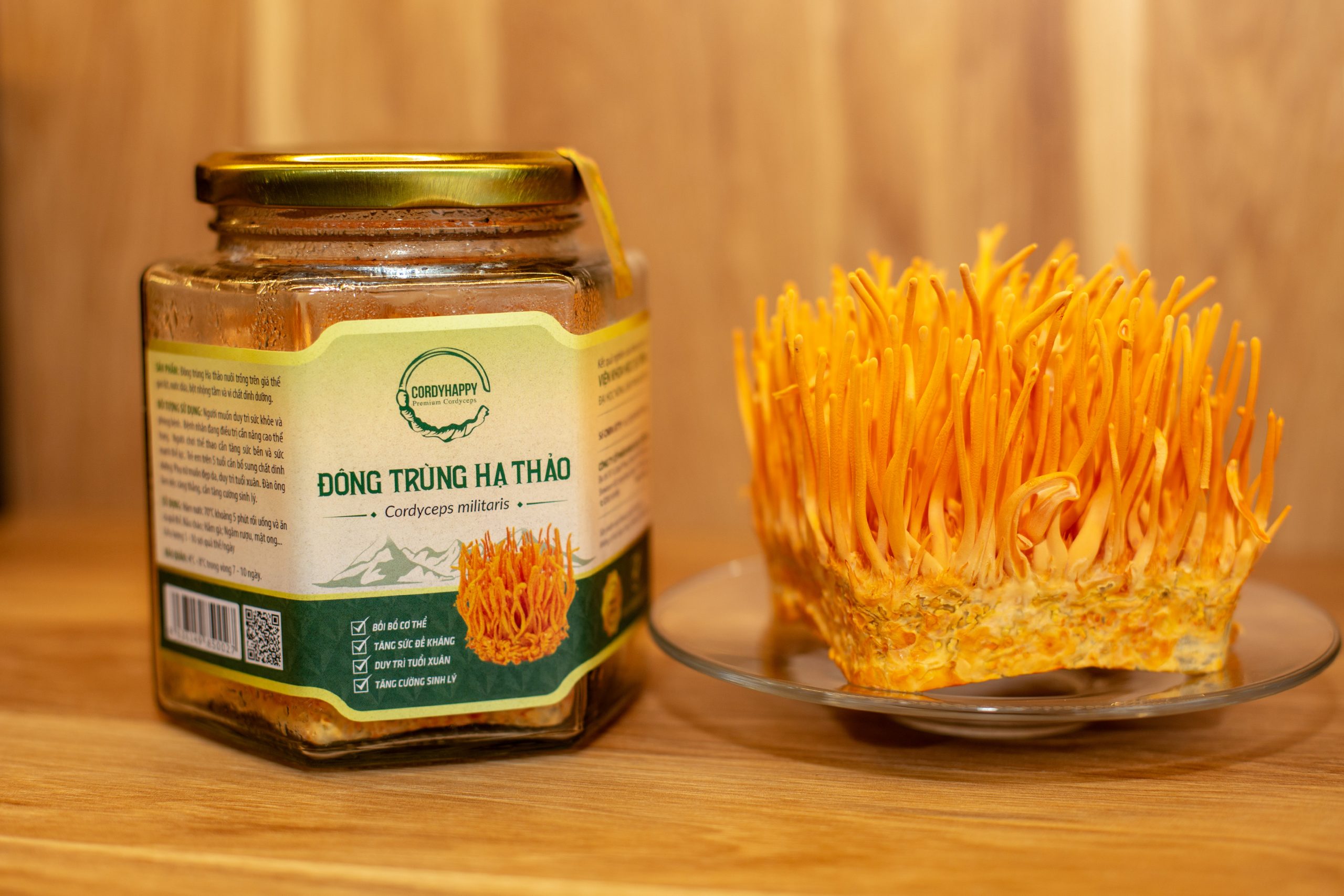 Giới thiệu