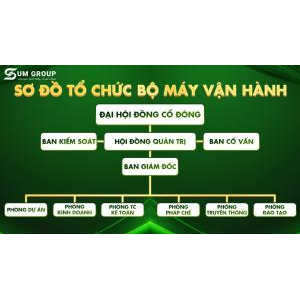 Sơ đồ tổ chức bộ máy vận hành