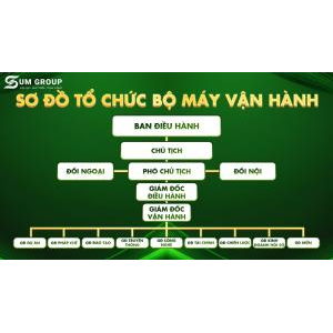 Sơ đồ tổ chức bộ máy vận hành