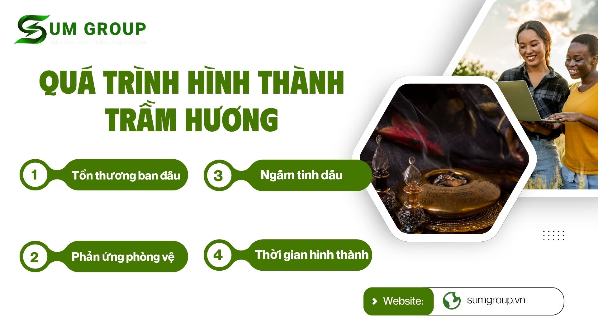 2. Quá trình hình thành trầm hương – Cuộc “tái sinh” kỳ diệu