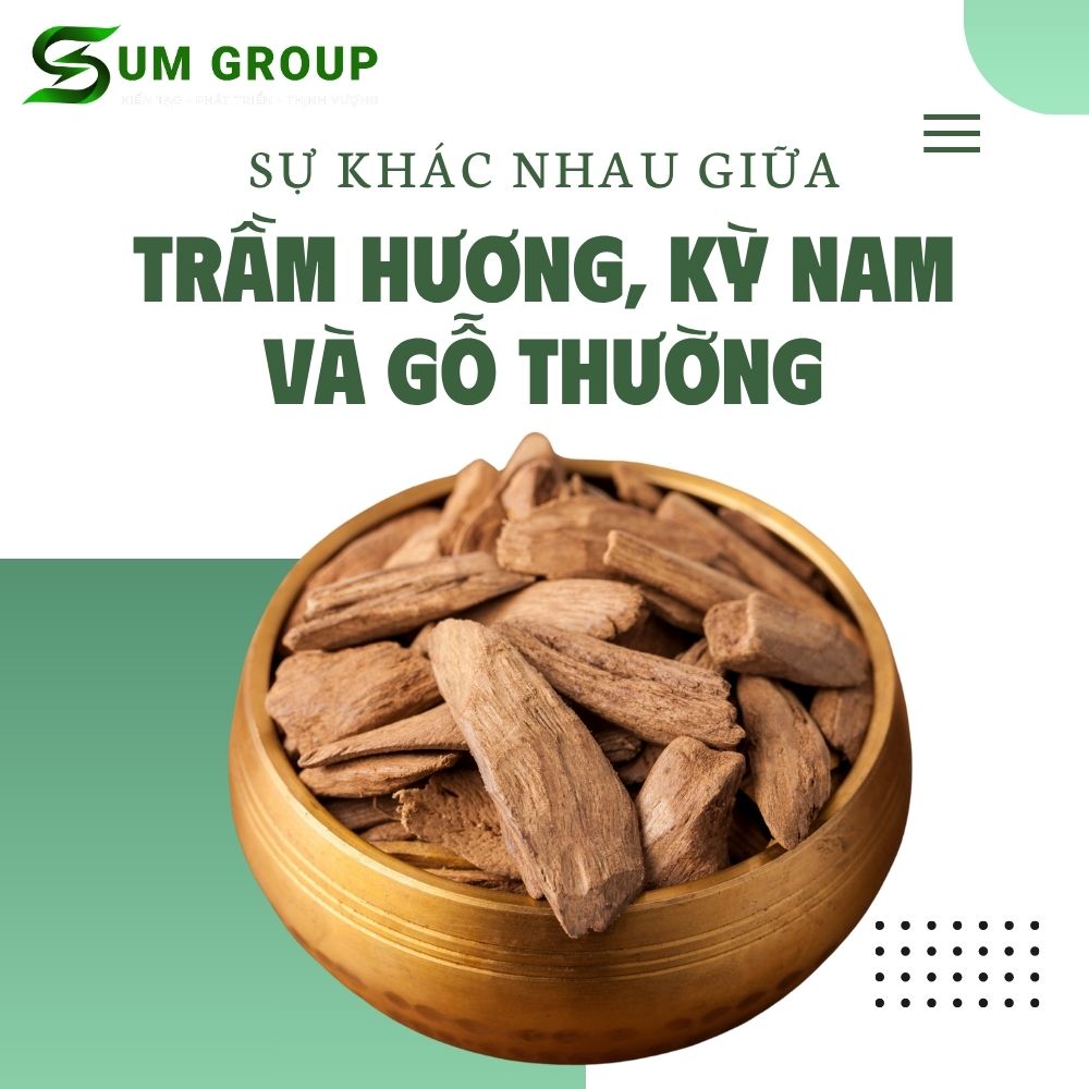 Sự Khác Nhau Giữa Trầm Hương, Kỳ Nam Và Gỗ Thường