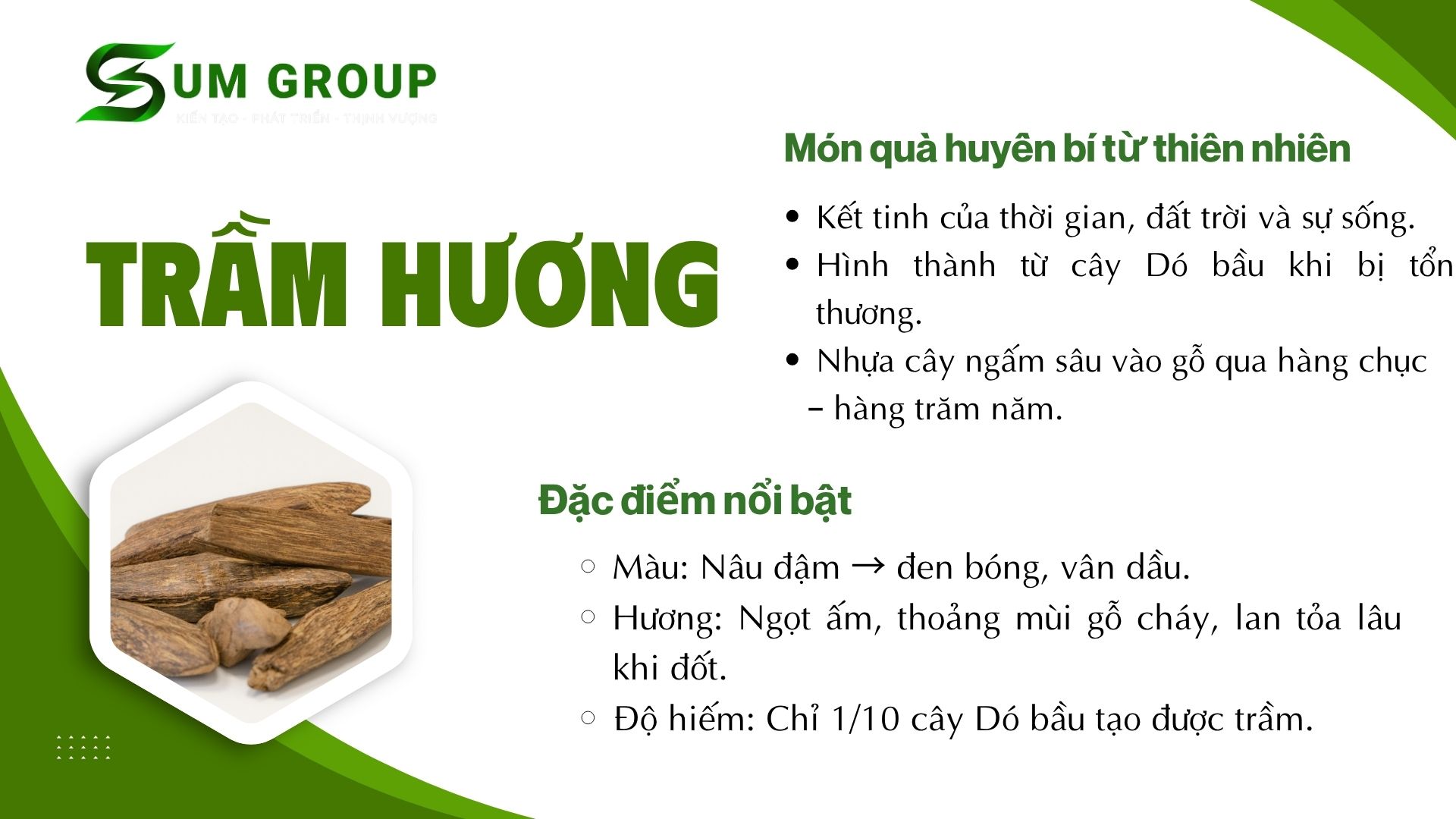 1. Trầm hương – Món quà huyền bí từ thiên nhiên