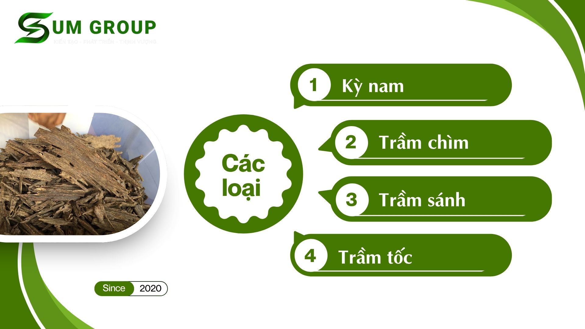 4. Các loại trầm hương – Thang bậc giá trị của hương trầm