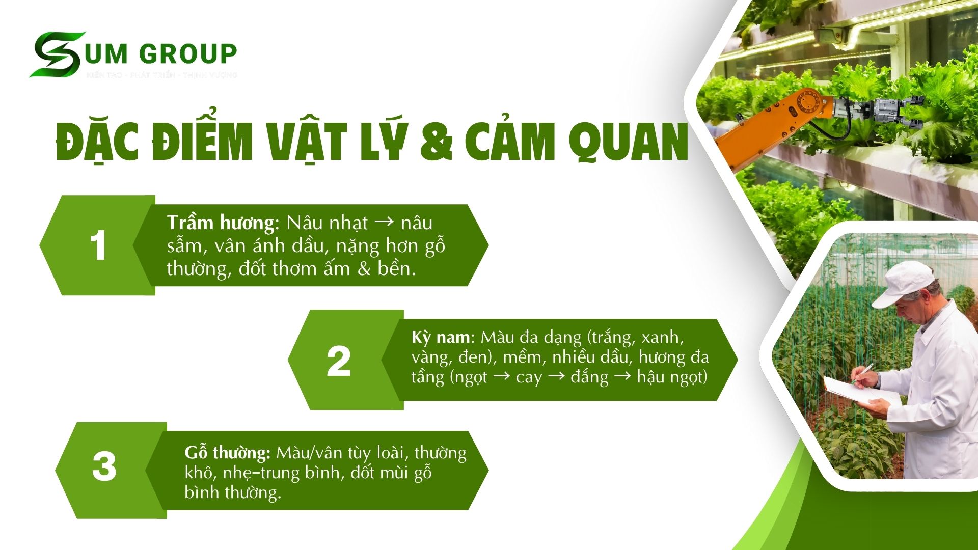 2. Đặc điểm vật lý và cảm quan