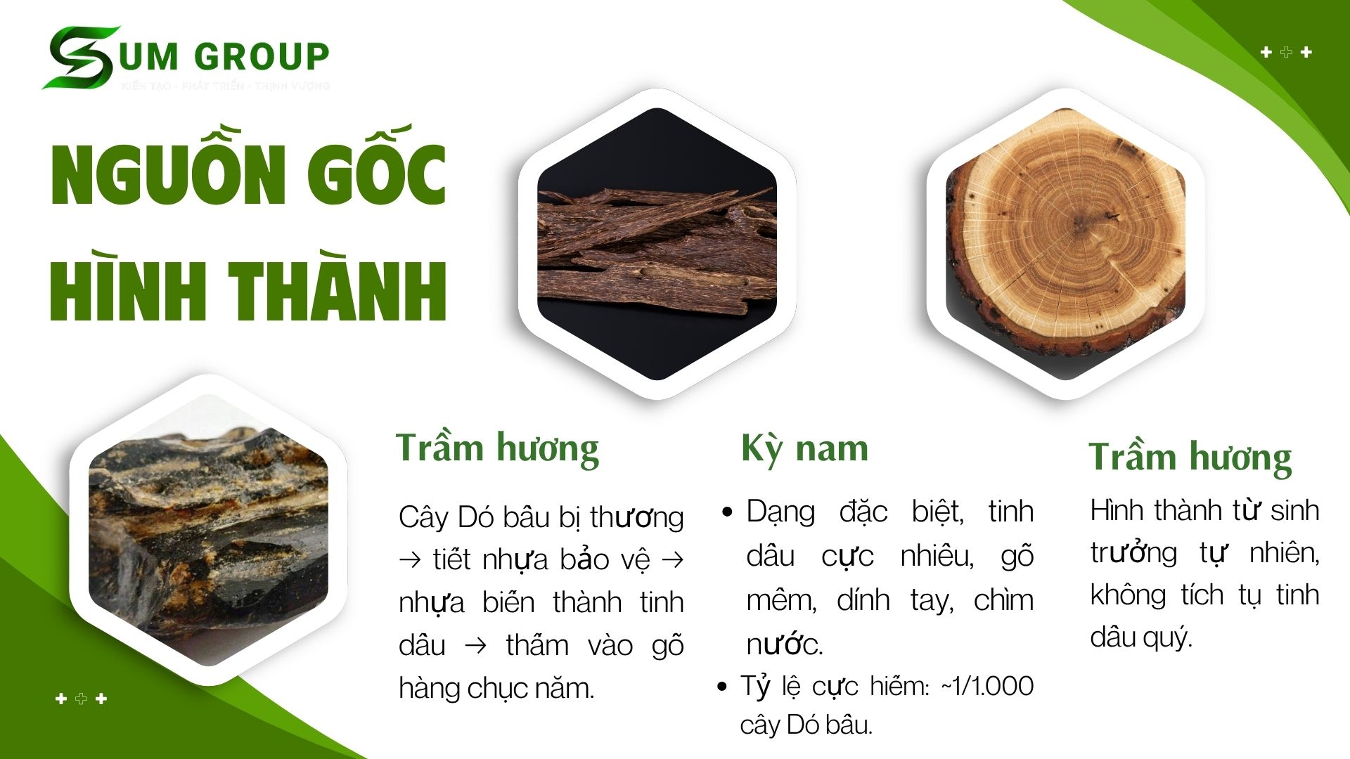 1. Về nguồn gốc hình thành