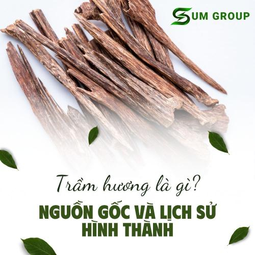Trầm Hương Là Gì? Nguồn Gốc Và Lịch Sử Hình Thành