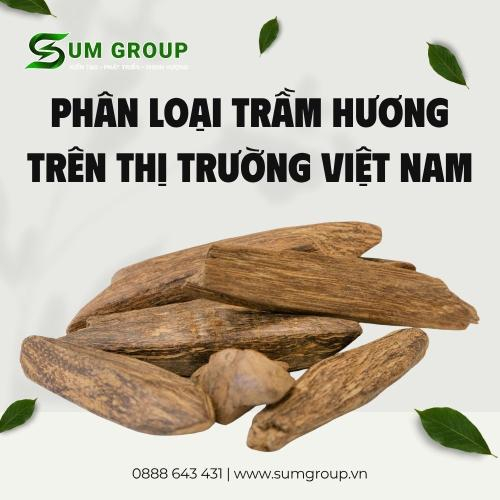 Phân Loại Trầm Hương Trên Thị Trường Việt Nam