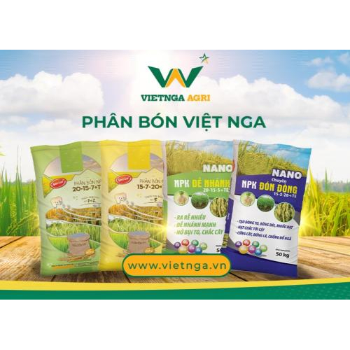 Công ty Cổ phần Tập đoàn Việt Nga