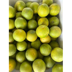 Công Ty TNHH Xanh VN