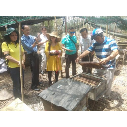 Mật Ong Hương Tràm Hút Dẻo