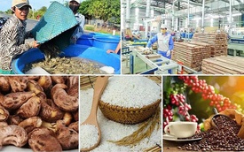 1. Thực trạng: Sản phẩm tốt nhưng vẫn “ẩn mình”