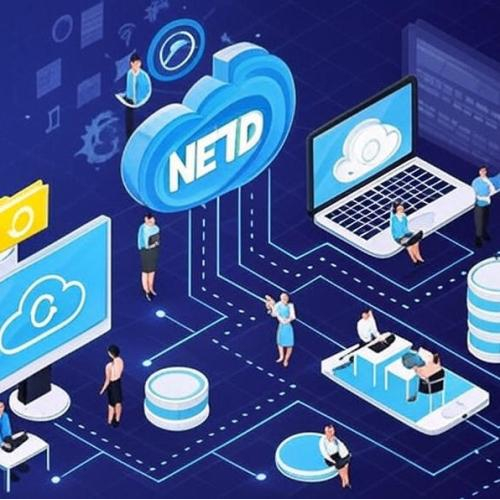 Tầm Quan Trọng Của NETID Đối Với Chuyển Đổi Số