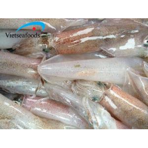 Mực ống câu (size 3_5 con /1 kg )