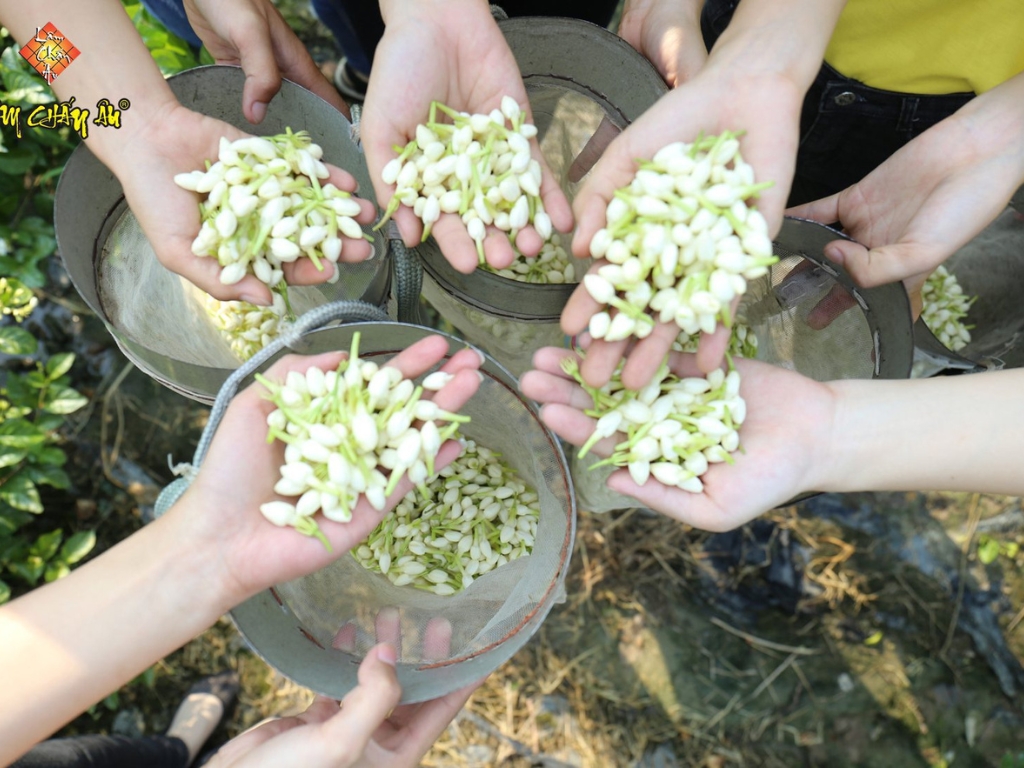 Khám phá thêm tại: