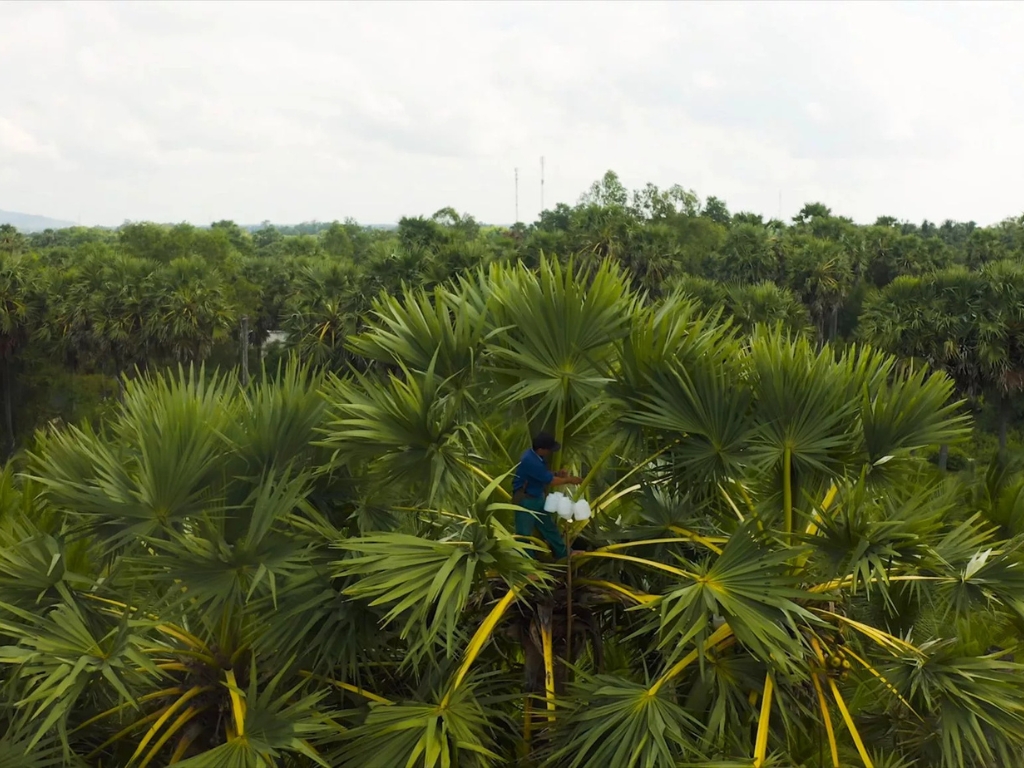 Vì sao chúng tôi bền vững và minh bạch trong đạo đức kinh doanh