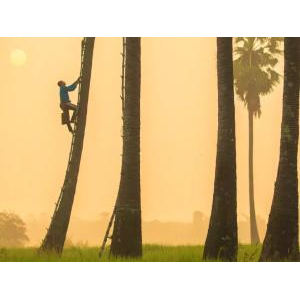 Công Ty Cổ Phần Palmania