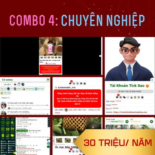 Combo 4 Net🆔.vn: Chuyên nghiệp - 30 Triệu/ Năm