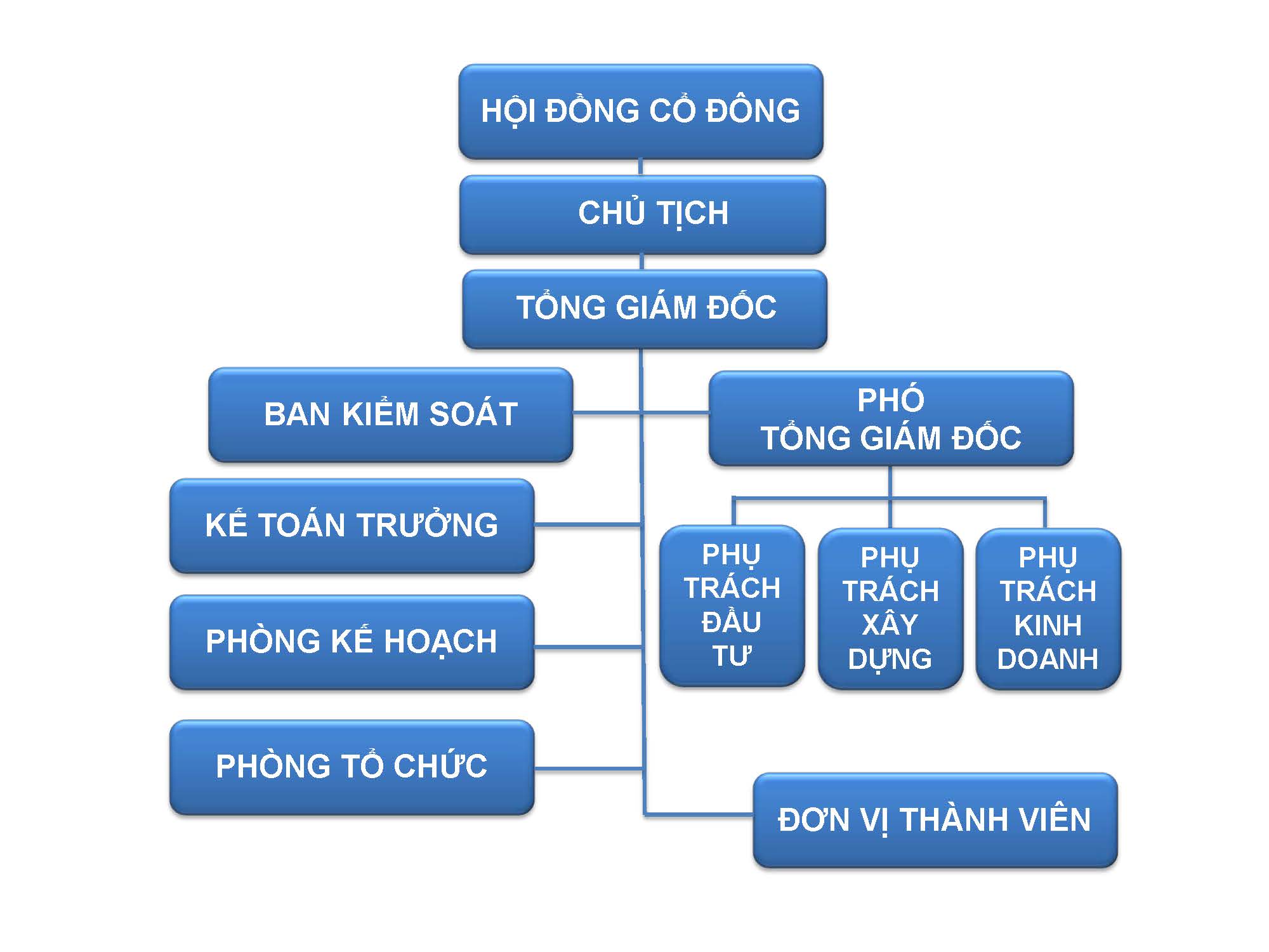 Sơ dồ công ty