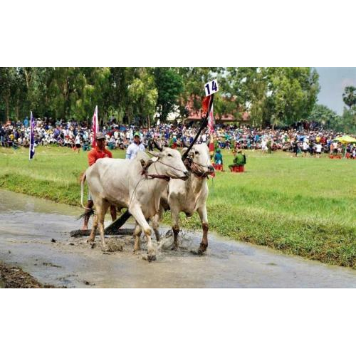An Giang Hợp Nhất Kiên Giang - Cực Tăng Trưởng Mới Cho Đồng Bằng Sông Cửu Long