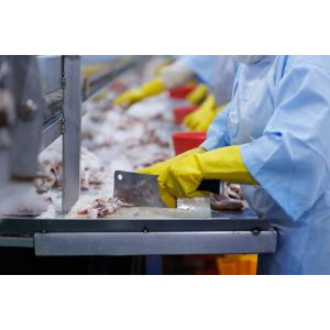 Công Ty CP Thủy Sản Tắc Cậu