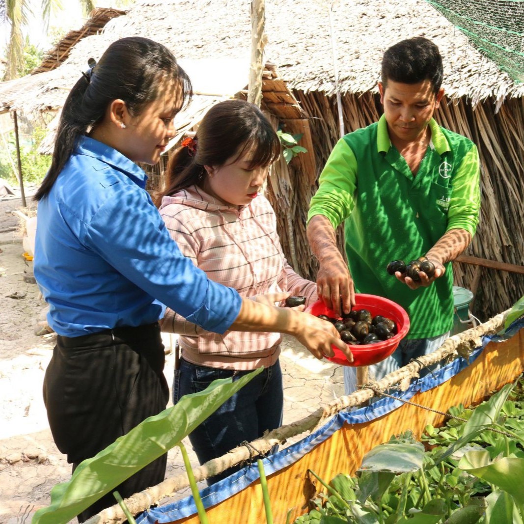 Thanh Niên Khởi Nghiệp, Lập Nghiệp