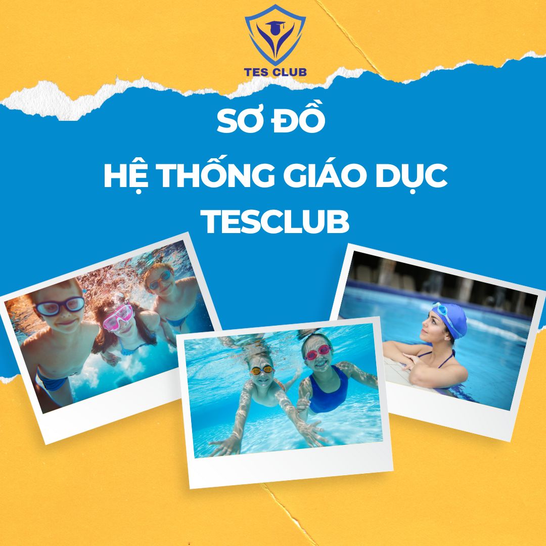 Sơ Đồ Hệ Thống Giáo Dục TesClub