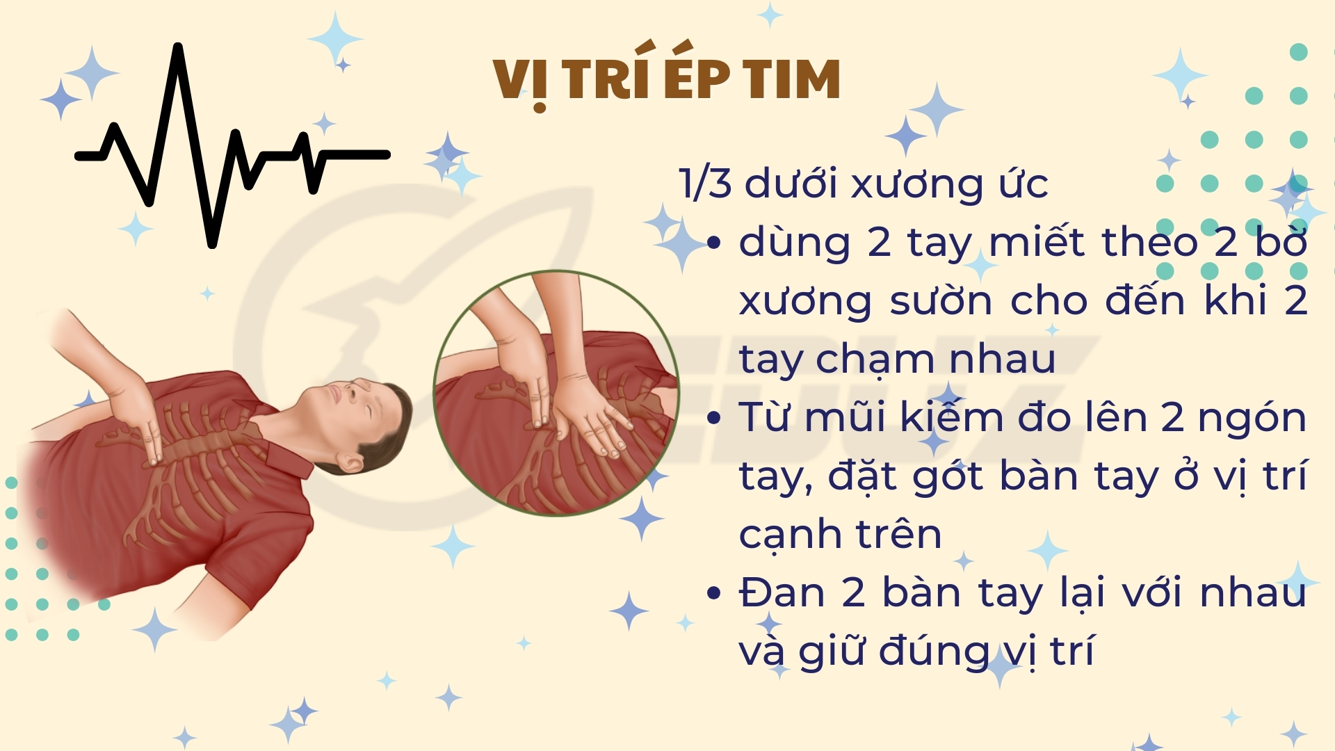 Vị trí ép tim