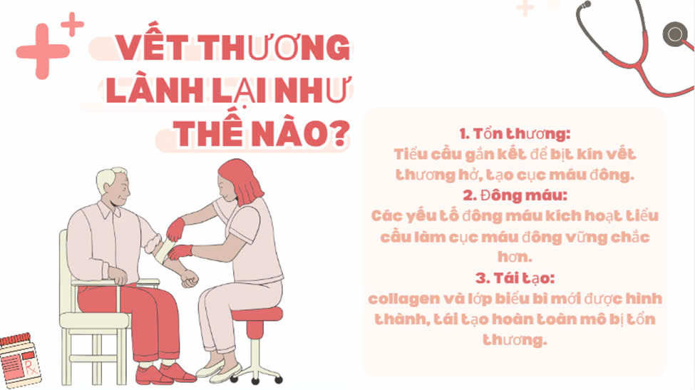 2) VẾT THƯƠNG LÀNH LẠI NHƯ THẾ NÀO?