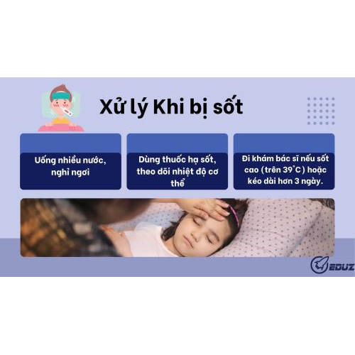 4. Xử lý sốt