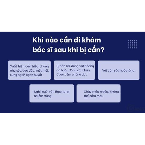 5. Khi nào cần đi khám bác sĩ sau khi bị cắn?