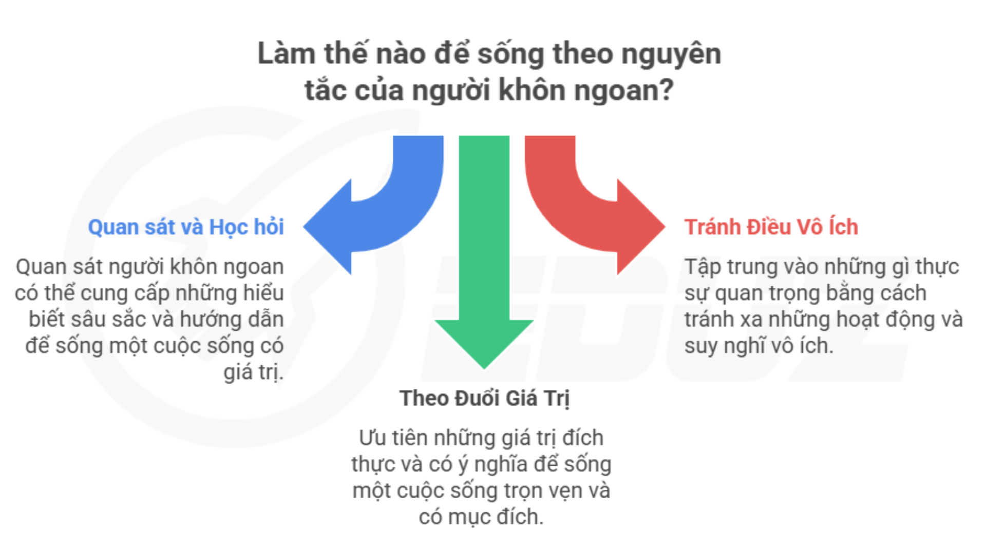 1. Hãy để người khôn ngoan làm “kim chỉ nam” cho bạn