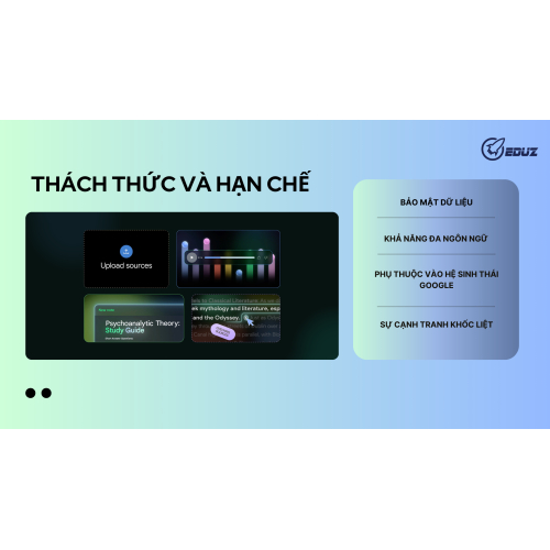 4.Thách thức & hạn chế