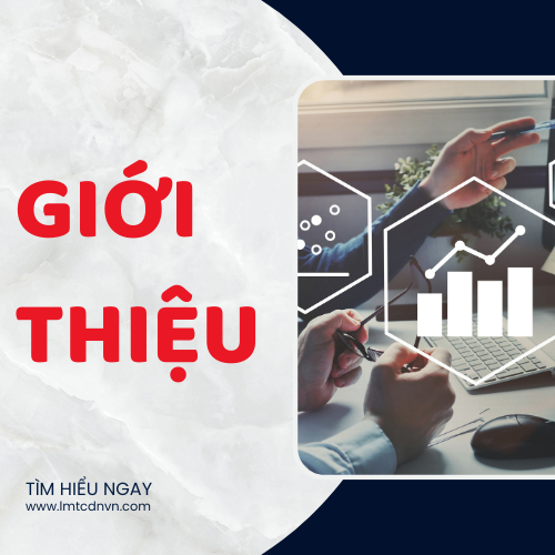 Giới Thiệu Về Liên Minh Tài Chính Doanh Nhân Việt Nam